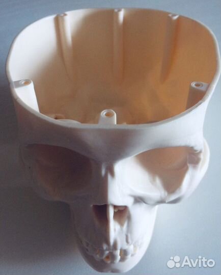 Коллекция Тело человека с детского журнала