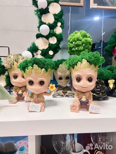 Цетрария в груте