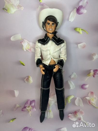 Barbie sweet 16&skipper& wet n wild&wrstern