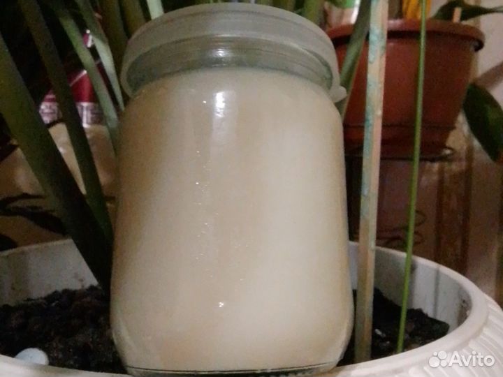 Барсучий жир