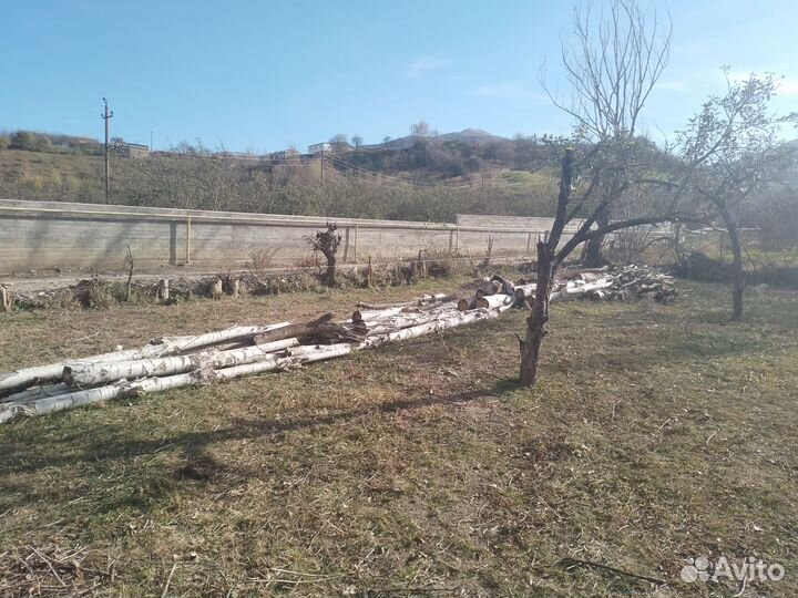 Дрова колотые