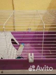 Клетка для ёжика,шиншиллы,кролика