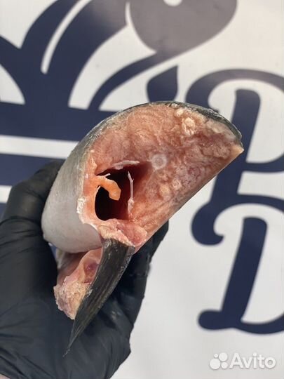 Горбуша свежая