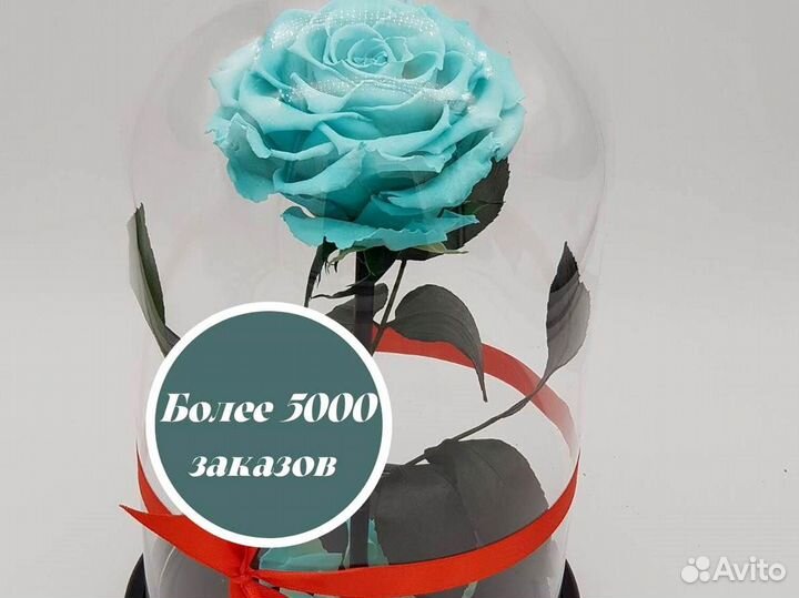 Роза в колбе. Вечная