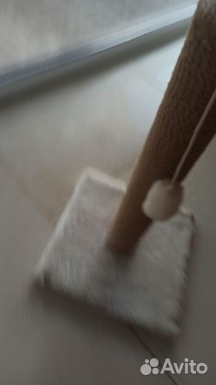 Когтеточка для кошек бу