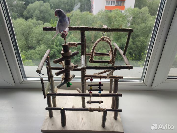 Игровой стенд, площадка для попугаев