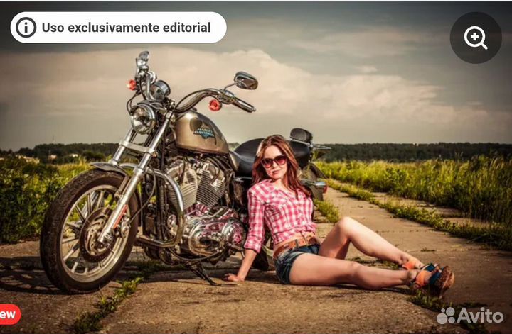 Harley Davidson sportster xl883n