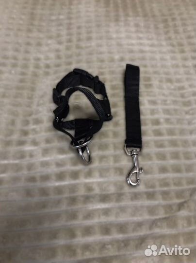 Недоуздок для собак