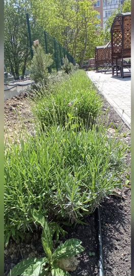 Квартира-студия, 31,8 м², 3/19 эт.