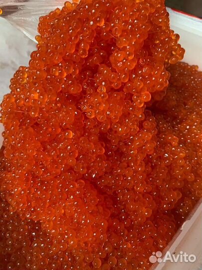 Красная икра с Камчатки оптом и в розницу