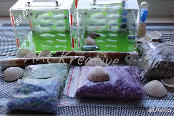 Муравьиные фермы - Формикарии