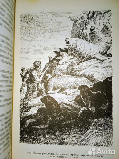 Книга Приключения капитана Врунгеля 1983 г