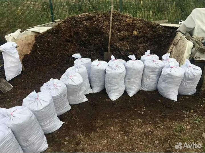 Коровий навоз и перегной со своего хозяйства