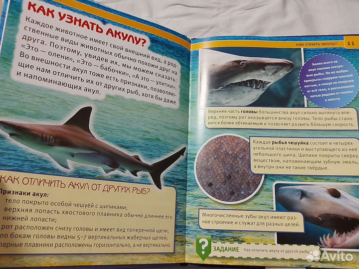 Книга про акул