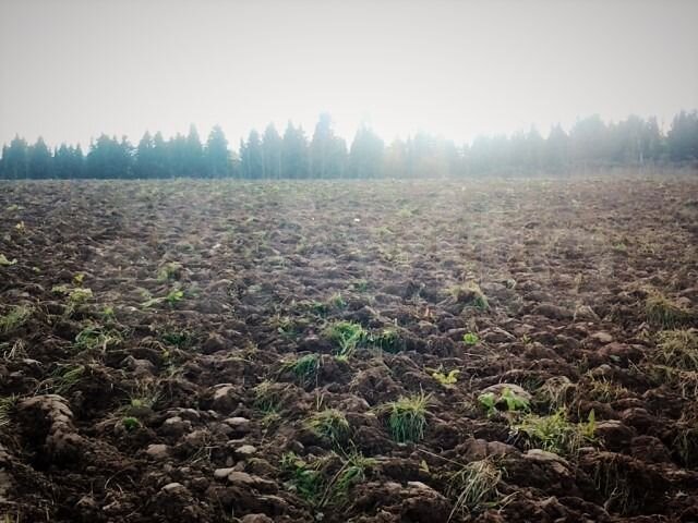 Участок 47,7 га (СНТ, ДНП)