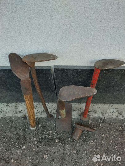 Лапа сапожника