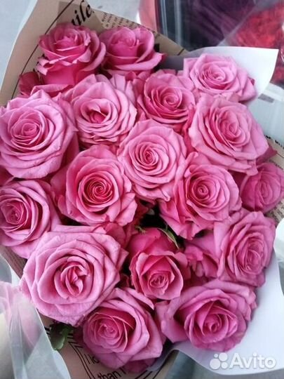 Тюльпаны, Герберы, Розы с доставкой до двери