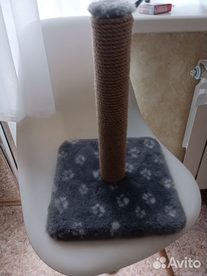 Когтеточка для кошек новая