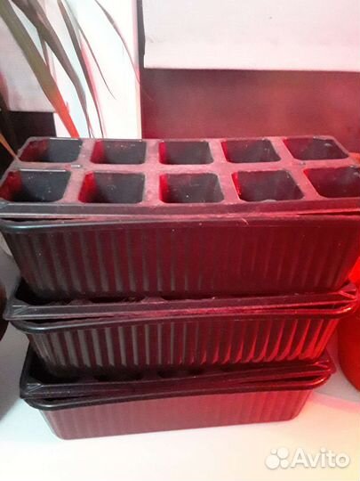 Ящики для рассады