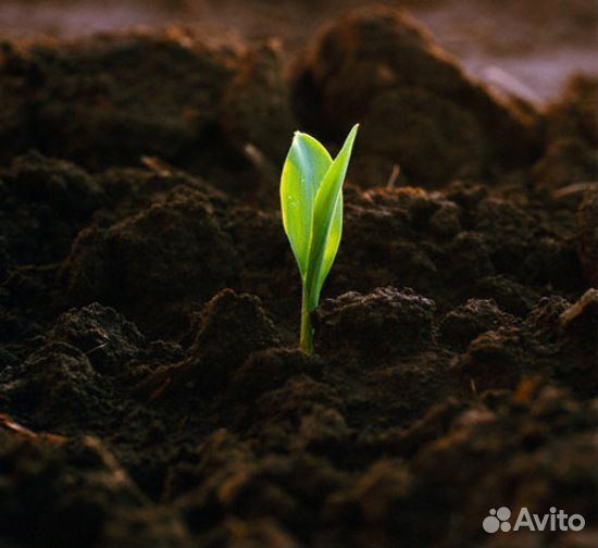 Торфосмесь