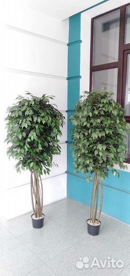 Искусственное дерево Фикус в кашпо, растение