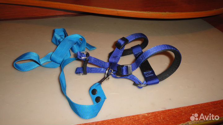 Шлейка для собаки Ferplast