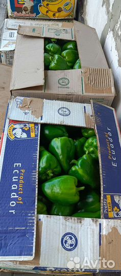 Продам перец под заказ, сбор на следующей неделе
