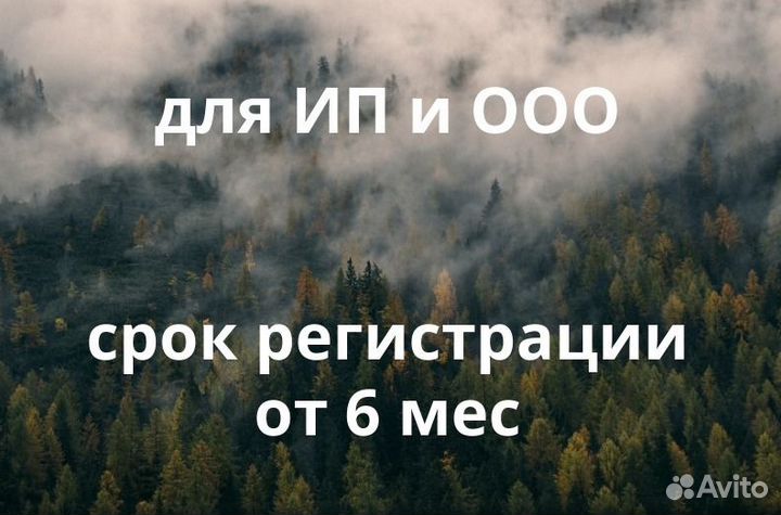 Помощь в получении кредита для ИП и ООО