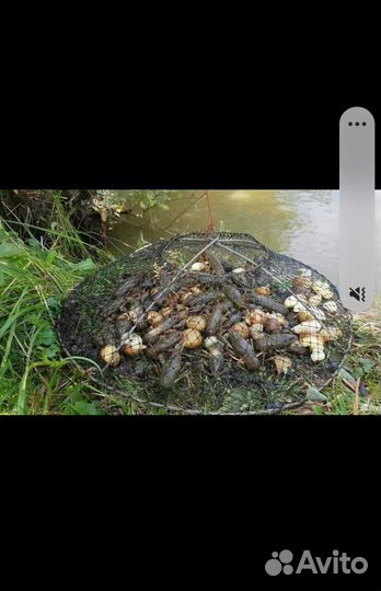 Раколовка чернильница конусная 40 см - 5 шт