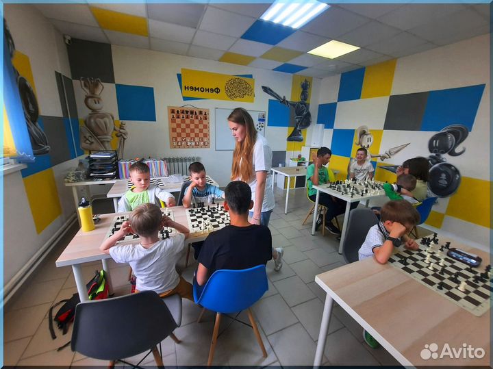 Франшиза в сфере образования — Феномен