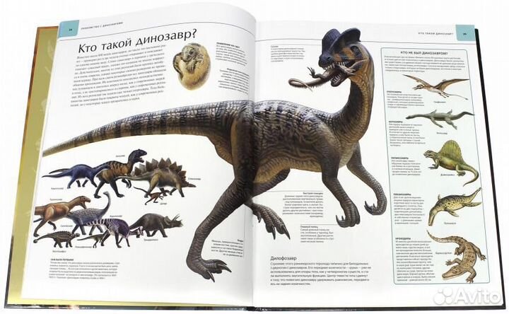 Для влюбленных в динозавров Две прекрасные книги