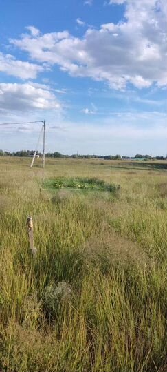 Участок 12 сот. (ИЖС)