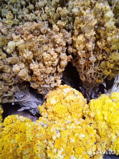 Дары полей,лесов,садов