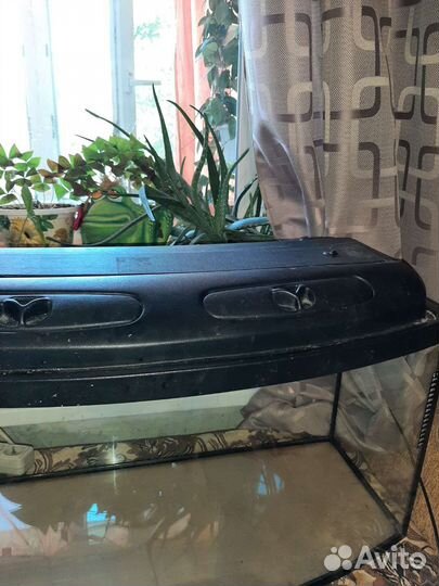 Аквариум-100л