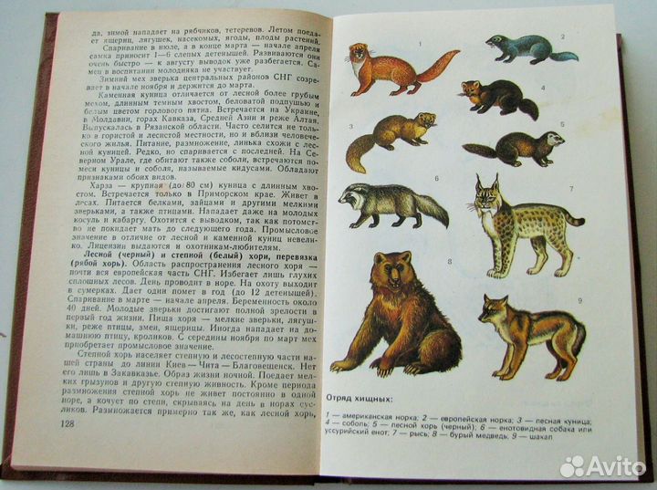 С ружьем и удочкой. Справочник военного охотника