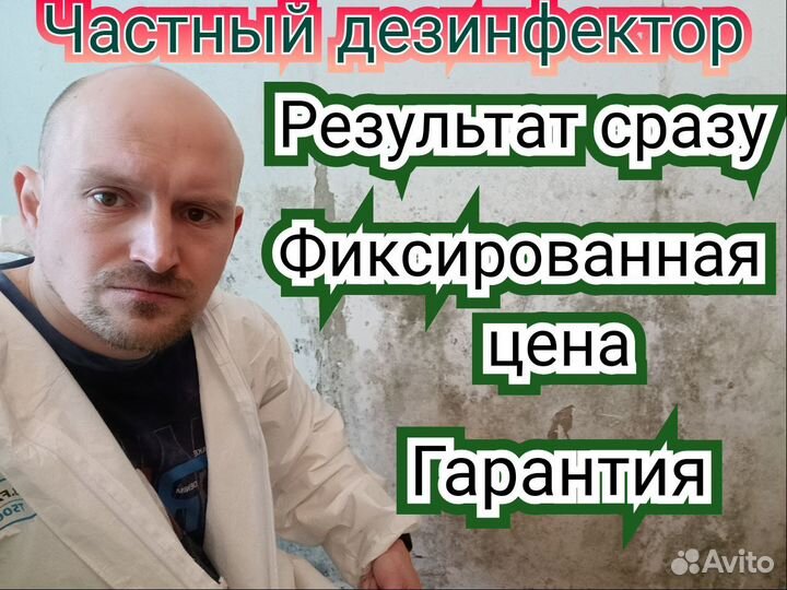 Уничтожения клопов тараканов насекомых Дезинсекция