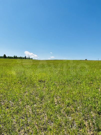 Участок 7,59 га (ИЖС)