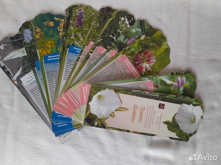 Тематические карточки