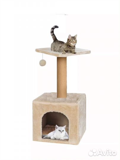 Кошачий дом