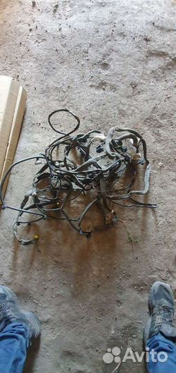 Проводка моторного отсека Renault Symbol