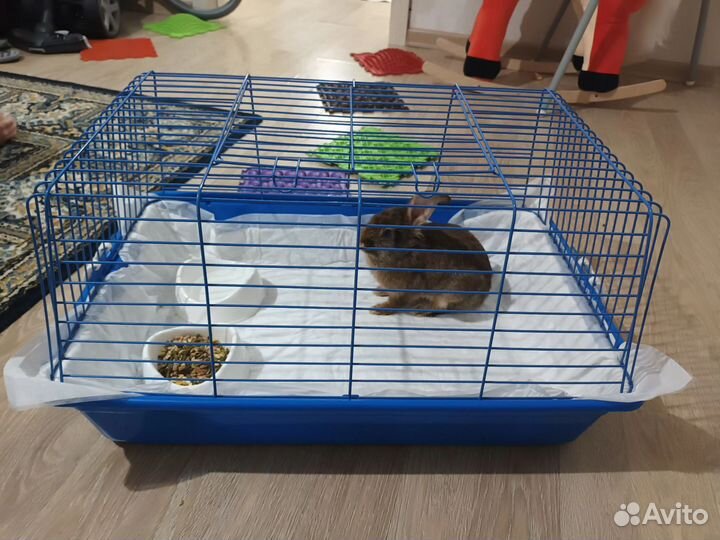 Клетка для кролика