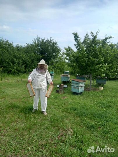 Мед Орловской губернии