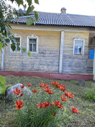 Дом 50 м² на участке 7,2 сот.