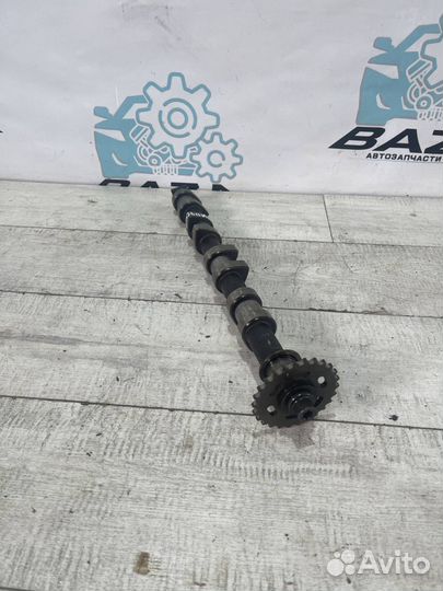 Распредвал выпускной BMW X5 E53