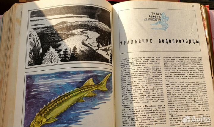 Журнал Юный натуралист подшивка за 1975 год