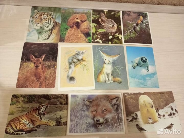 Открытки СССР