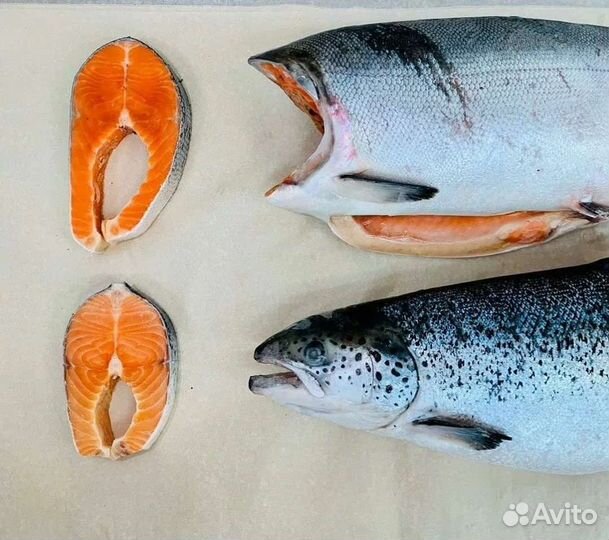 Форель живая, стейки форели