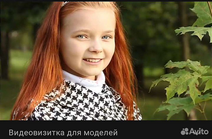 Видеовизитка