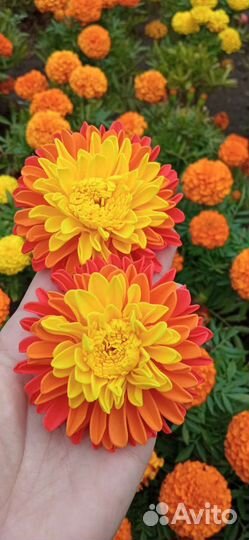 Бантики ручной работы