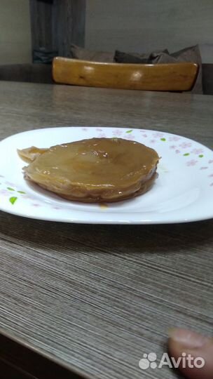 Гриб чайный